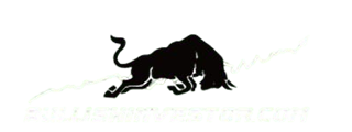 Partner Logo 8